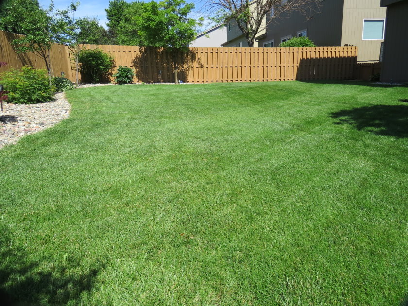 Lawn Care Analysis - Omaha NE